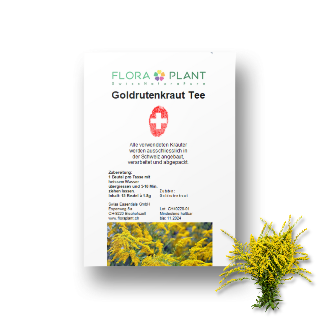 Goldrutenkraut Tee in Verpackung