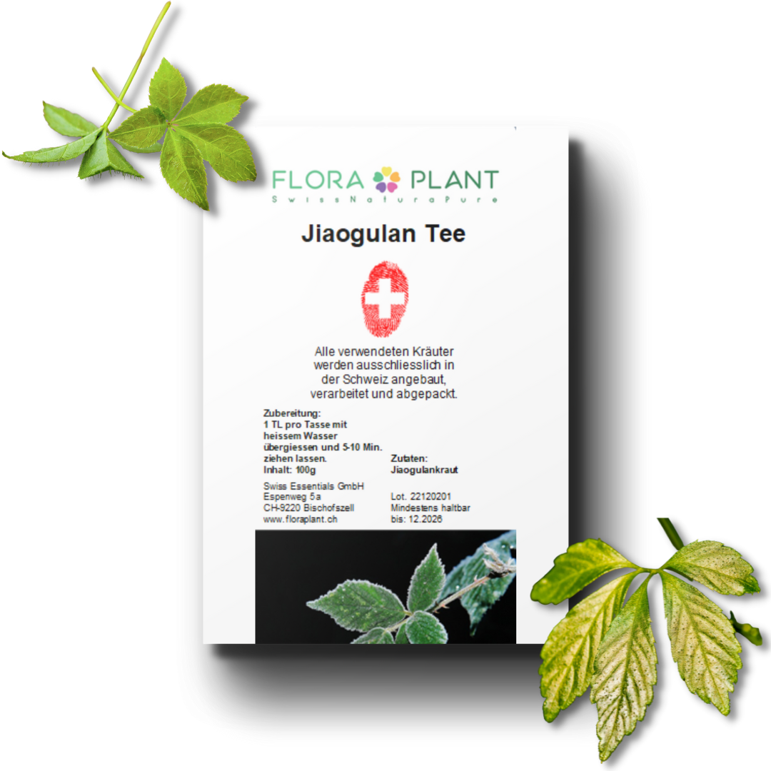 Jiaogulan Tee in Verpackung