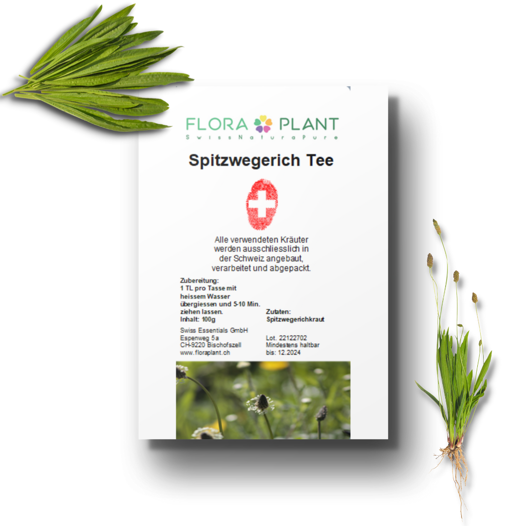 Spitzwegerich Tee in Verpackung