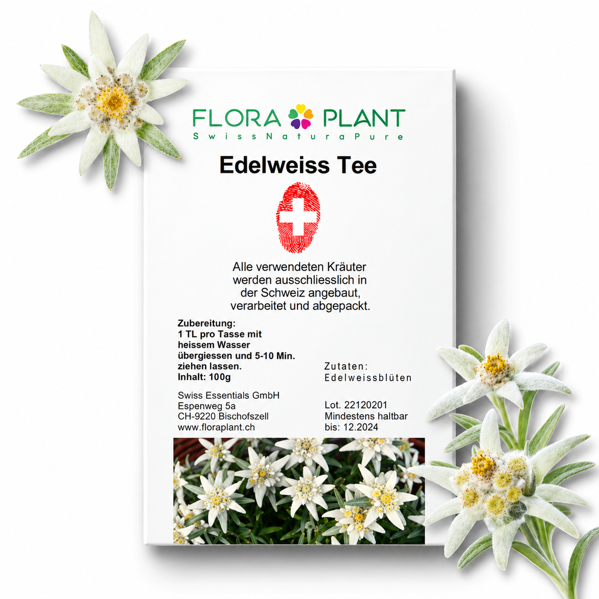 FLORAPLANT – Tisana alla stella alpina sfusa, confezione da 100 g
