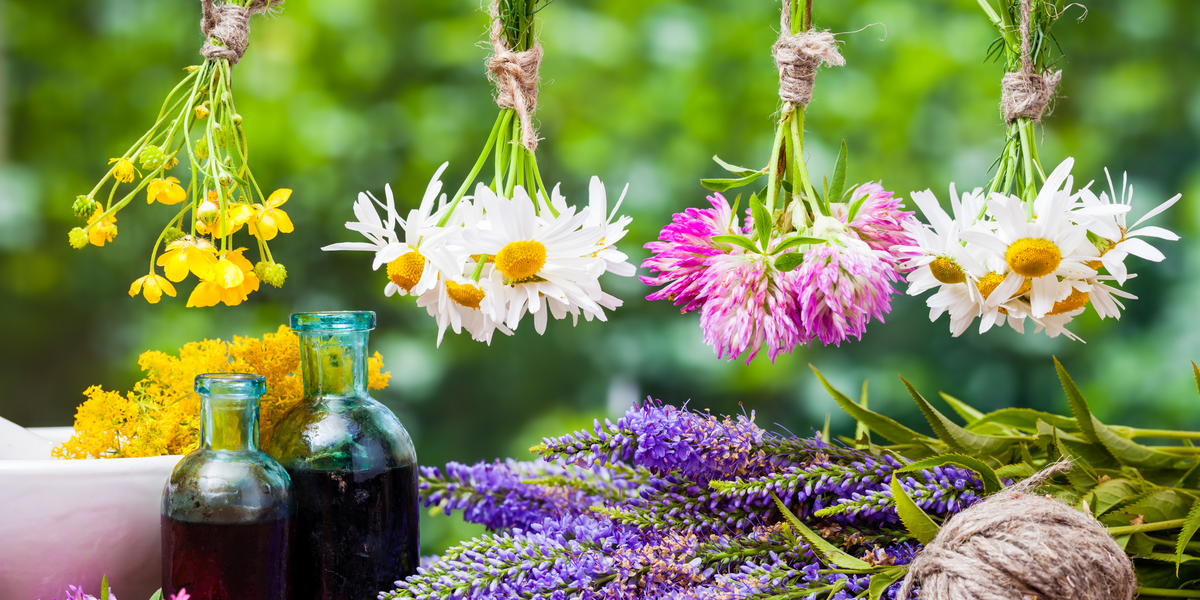 Blüten zum Trocknen aufgehängt, mit Lavendel und Glasflaschen