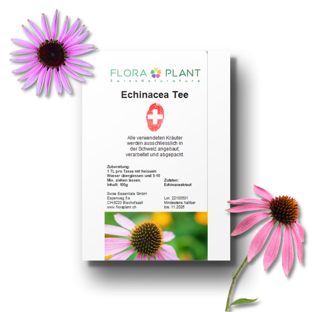 Echinacea Tee offen