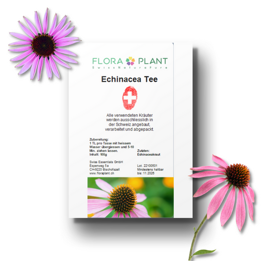 Echinacea Tee offen