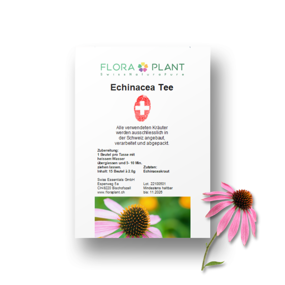 Echinacea Tee im Beutel