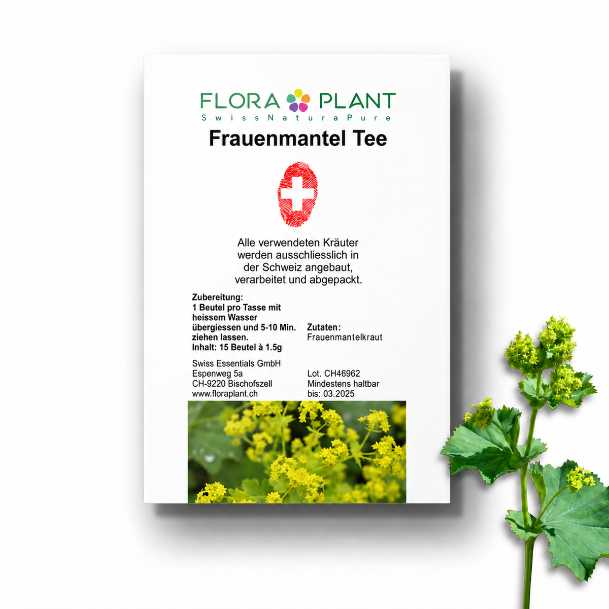 FLORAPLANT – Tisana all'alchemilla in bustine, confezione da 15 bustine