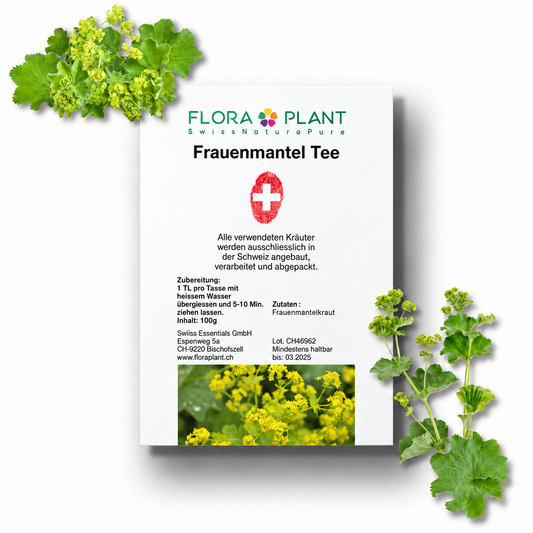 FLORAPLANT Frauenmantel Tee offen, 100 g loser Tee