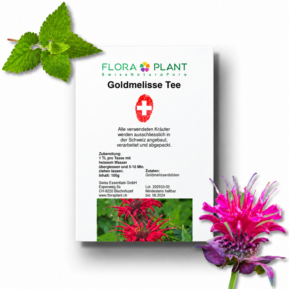 FLORAPLANT – Tisana alla monarda sfusa, confezione da 100 g