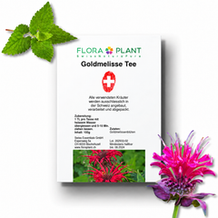 FLORAPLANT – Tisana alla monarda sfusa, confezione da 100 g