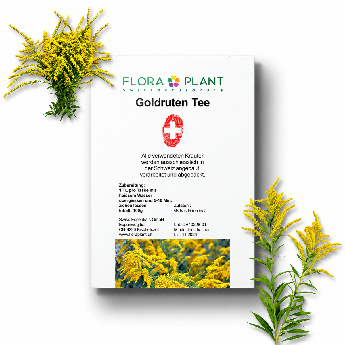 FLORAPLANT – Tisana alla verga d'oro sfusa, confezione da 100 g