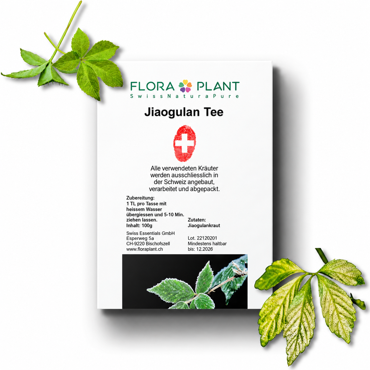 FLORAPLANT – Tisana al jiaogulan sfusa, confezione da 100 g