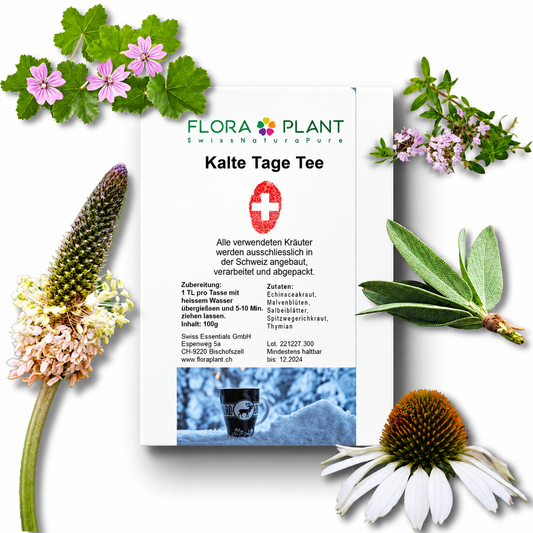 FLORAPLANT Kalte Tage Tee offen, 100 g loser Tee
