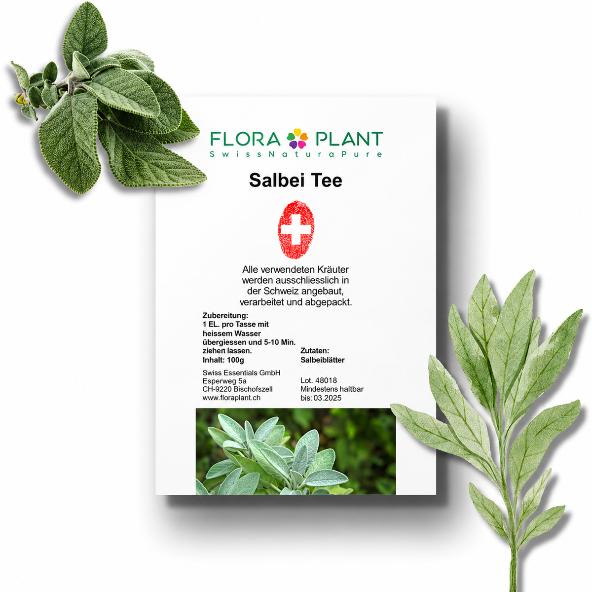 FLORAPLANT – Tisana alla salvia sfusa, confezione da 100 g