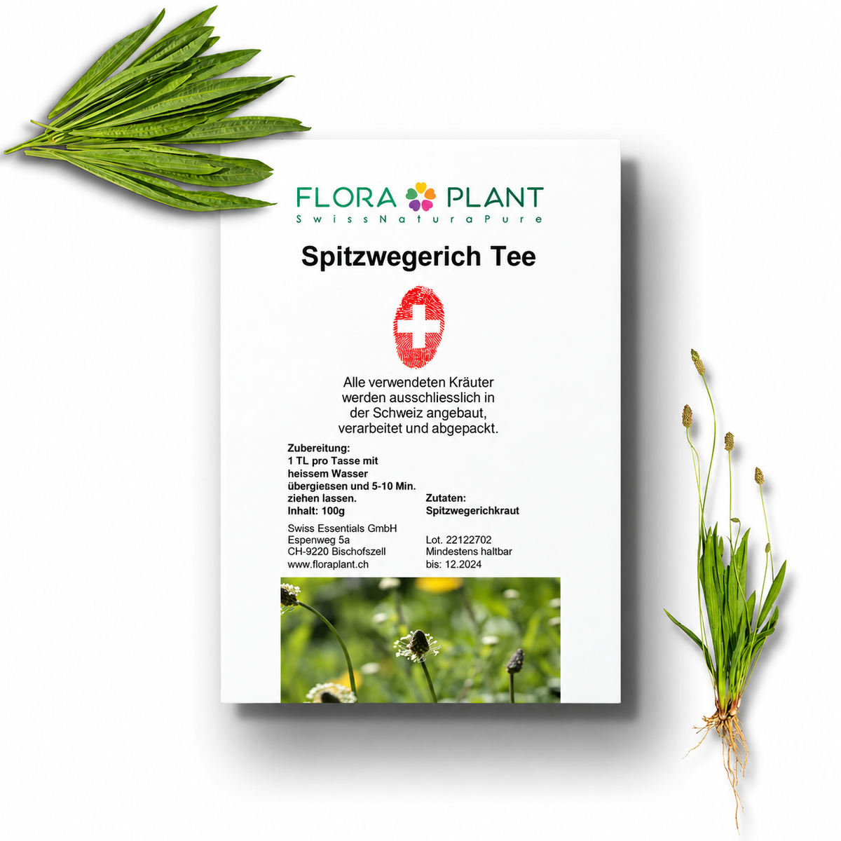 FLORAPLANT – Tisana alla piantaggine lanceolata sfusa, confezione da 100 g