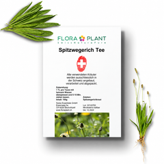 FLORAPLANT – Tisana alla piantaggine lanceolata sfusa, confezione da 100 g